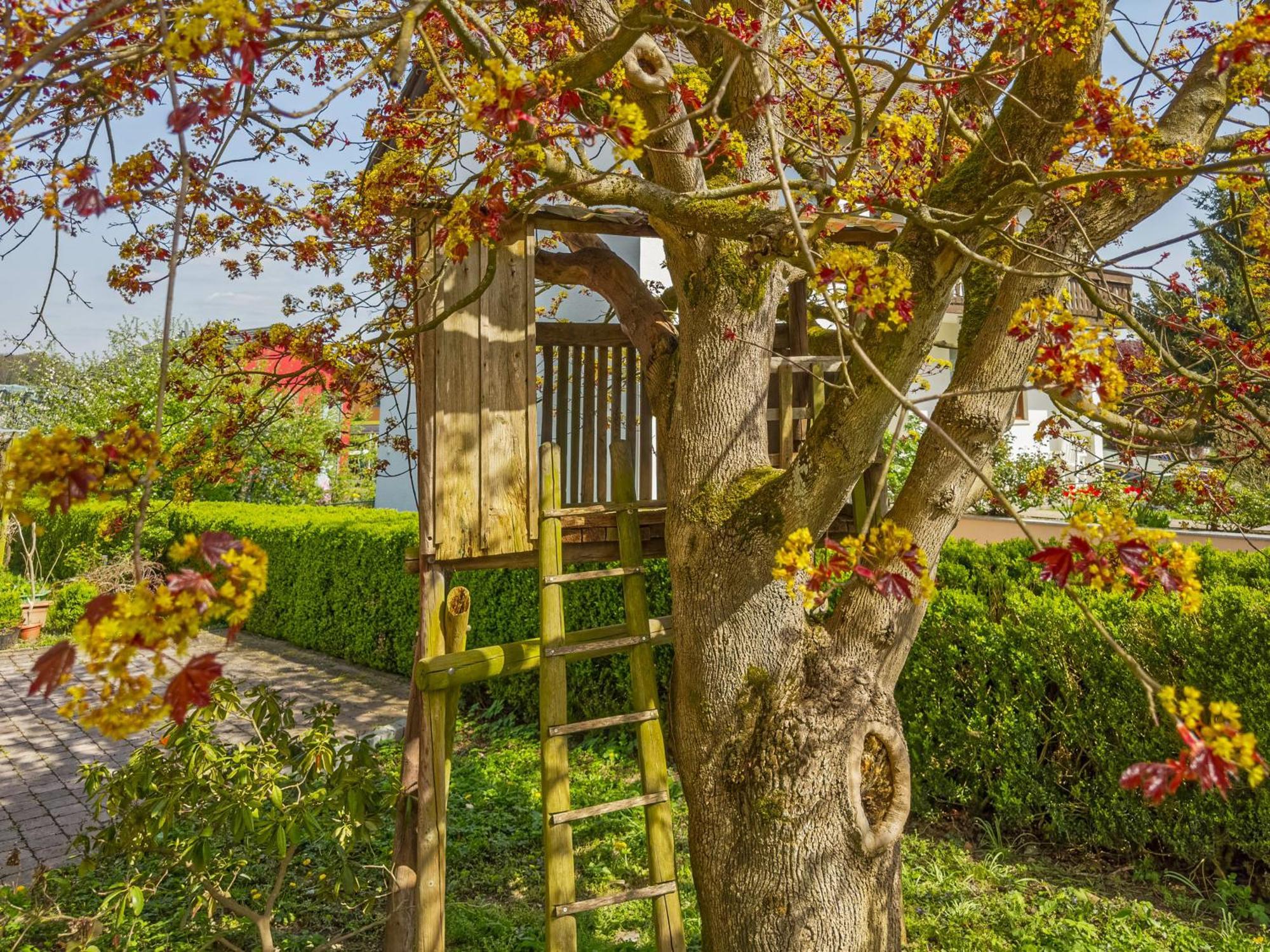 Obst- Ferienhof Ragg Immenstaad am Bodensee Ngoại thất bức ảnh